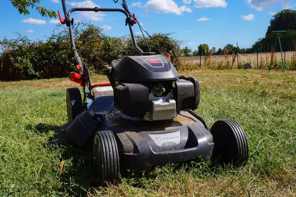 self-propelled petrol lawn mower powered by the Japanese manufacturer Honda Motor
