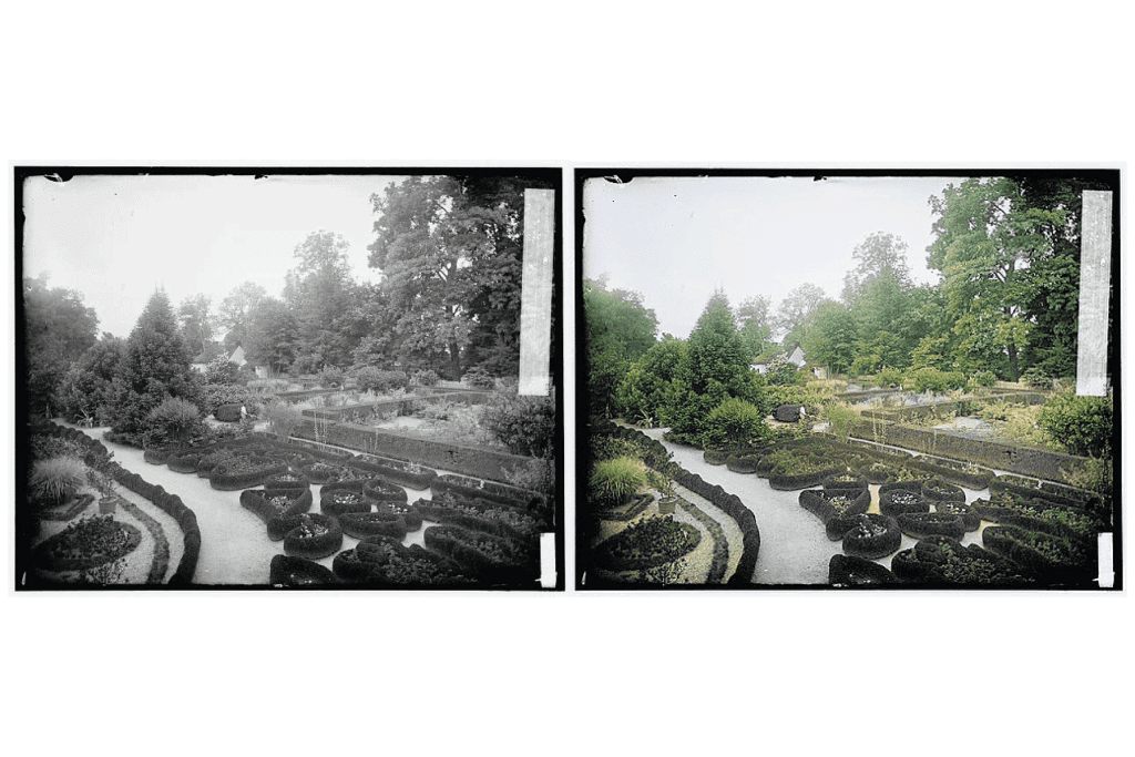 A black and white comparison to a colorized photo of Mount Vernon flower garden
