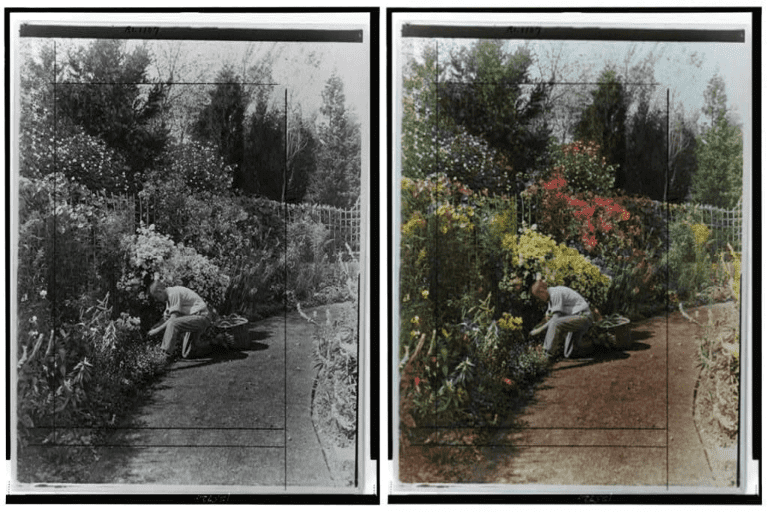 Man Tending To A Flower Bed In Arthur Curtis James Home Garden In Newport, Rhode Island—1917, 13 Incredible Colorized Photos Of Gardens From The Early 1900s