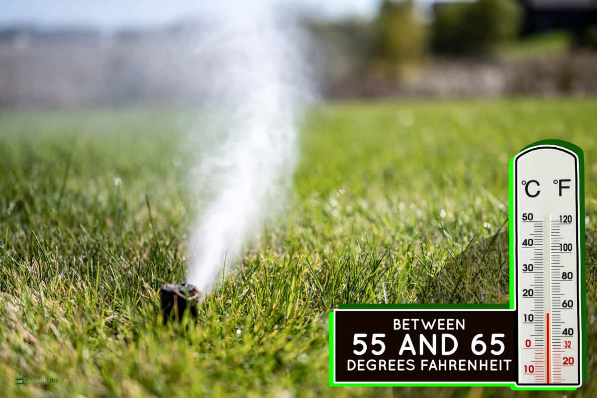 winterizing a irrigation sprinkler system by blowing pressurized air through to clear out water, Should You Winterize New Sod?