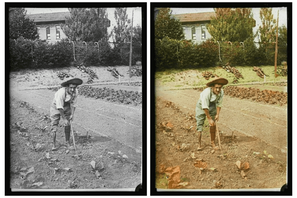 An amputee soldier gardening in the late 1900s