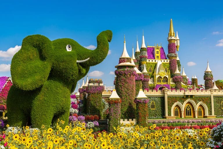 Dubai miracle garden in a sunny day, Creators Showcase The Exquisite Flower Displays In Dubai Miracle Garden