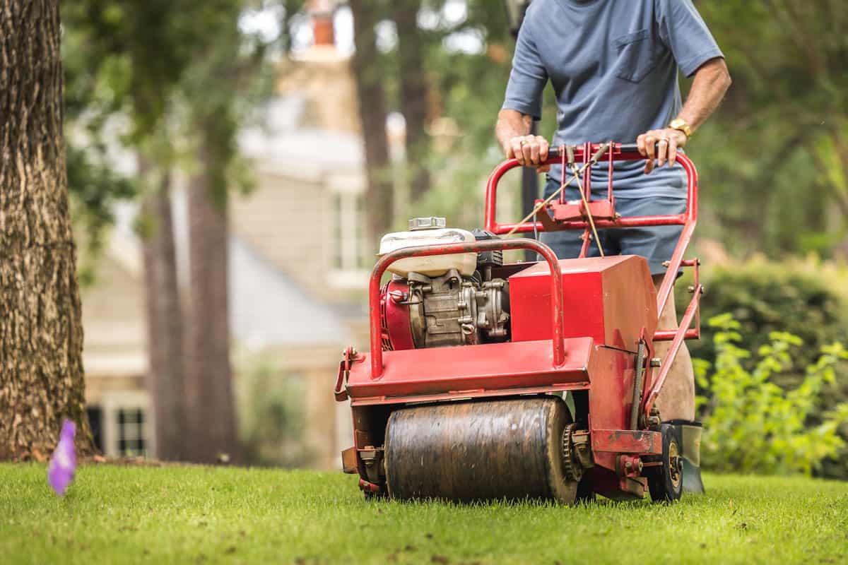 Gardener using an aerator for his lawn
