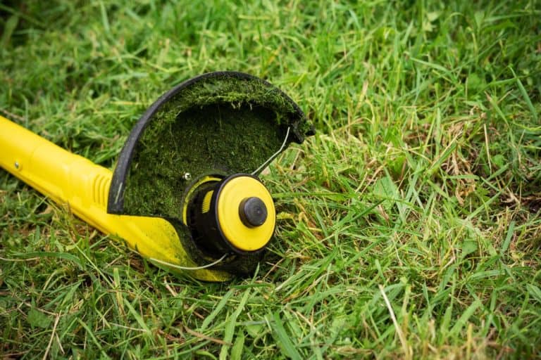 String grass trimmer in a mowed meadow. - How To Replace A Ryobi Trimmer Head