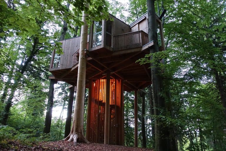 Tree house in the city forest, When Architecture Meets Nature: Stunning Tree-Integrated Homes You Have To See