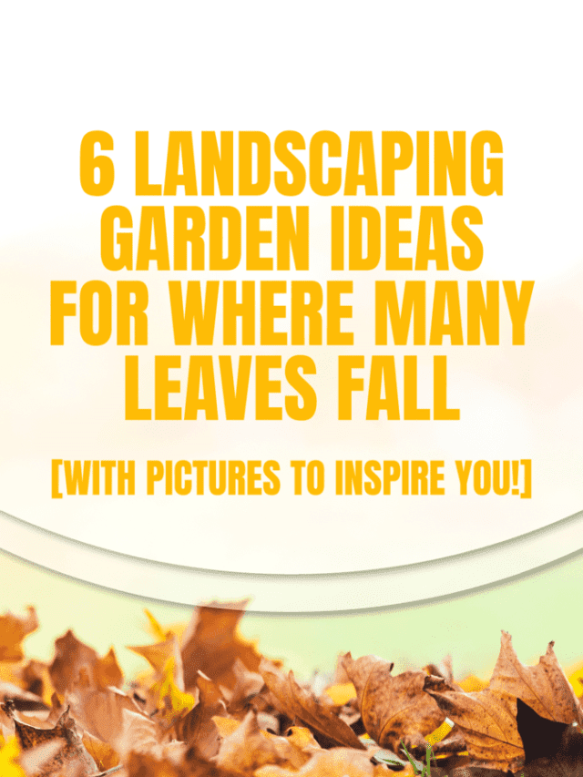 6-Landscaping-Garden-Ideas-For-Where-Many-Leaves-Fall-[With-Pictures-To-Inspire-You!]1