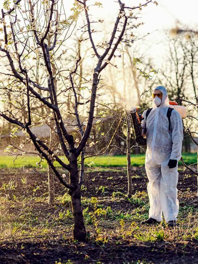 Fruit grower in protective suit and mask walking trough orchard with pollinator machine on his backs