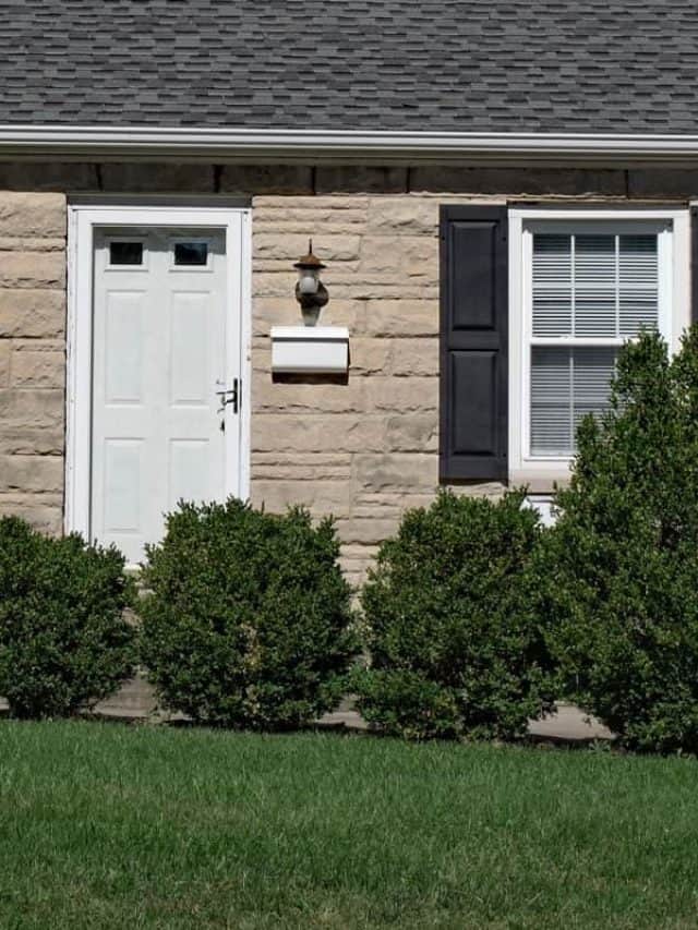 cropped-Small-Single-Story-Stone-Front-House-with-Shrubs.jpg