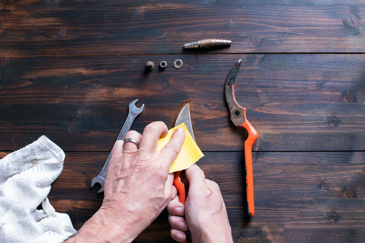 men hands cleaning and assembling a pair of garden scissors. Spring garden preparation. Image with copy space 