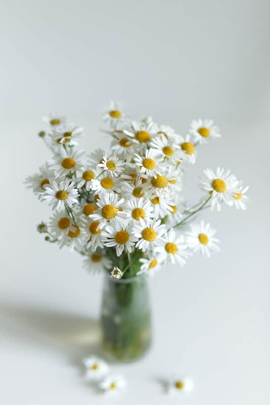 A bouquet of daisies on a glass vase