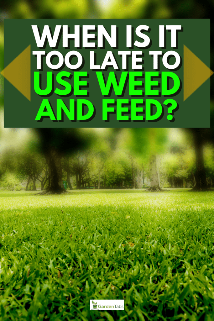 When Is It Too Late To Use Weed And Feed?