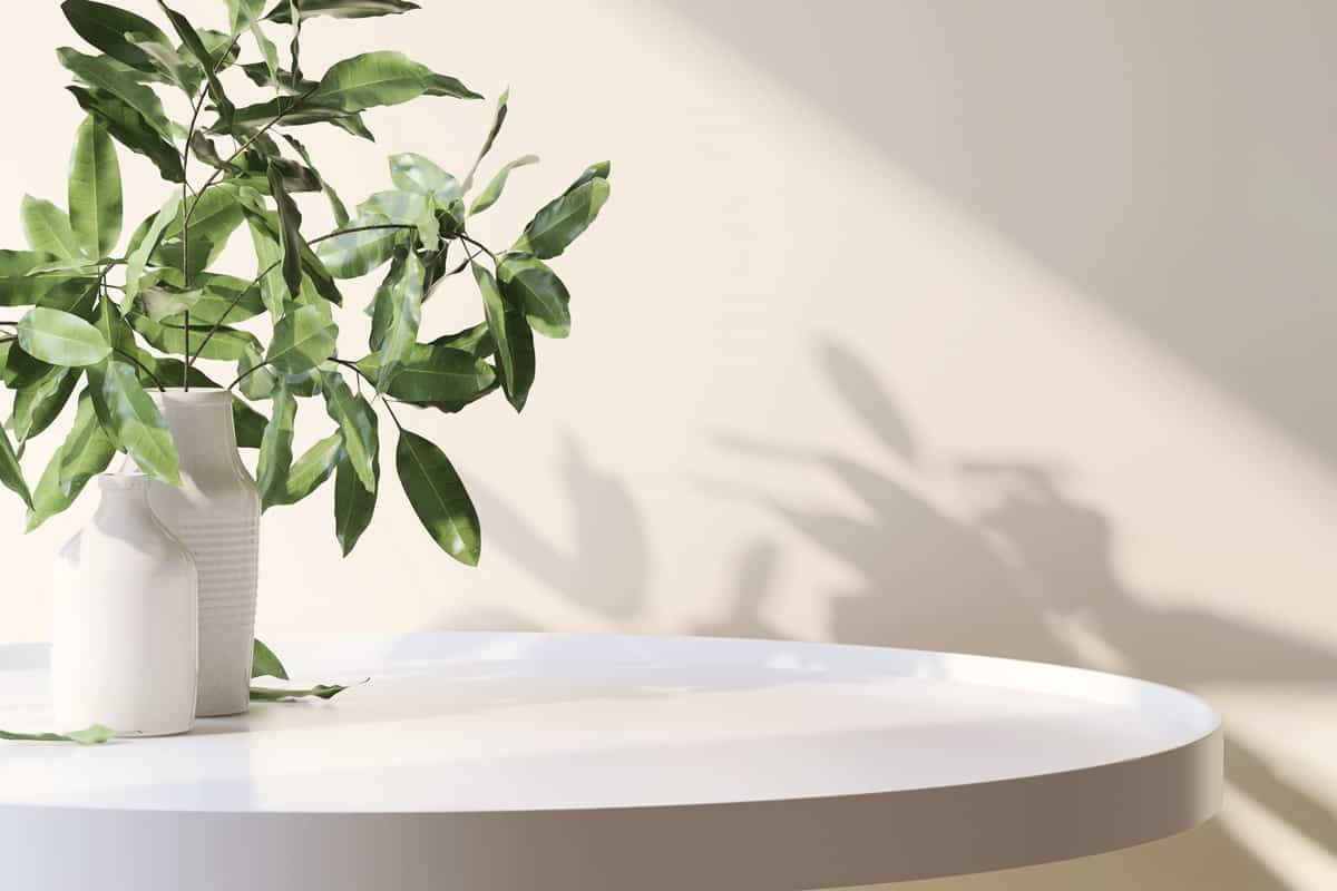 Realistic 3D render, A white round coffee table with green decor leaf plants in a vase with morning sunlight and beautiful foliage leaves shadow on beige wall.