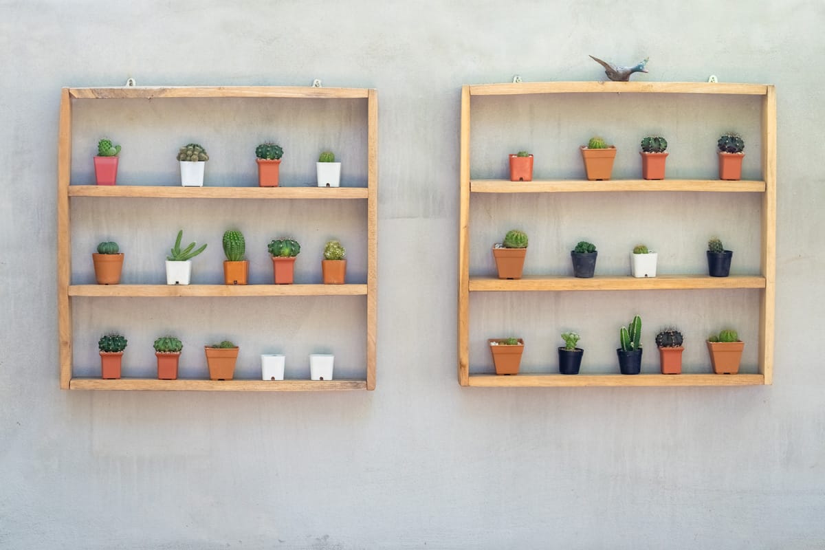 A wooden divider for showcasing plants. Modern way of displaying plants in the garden
