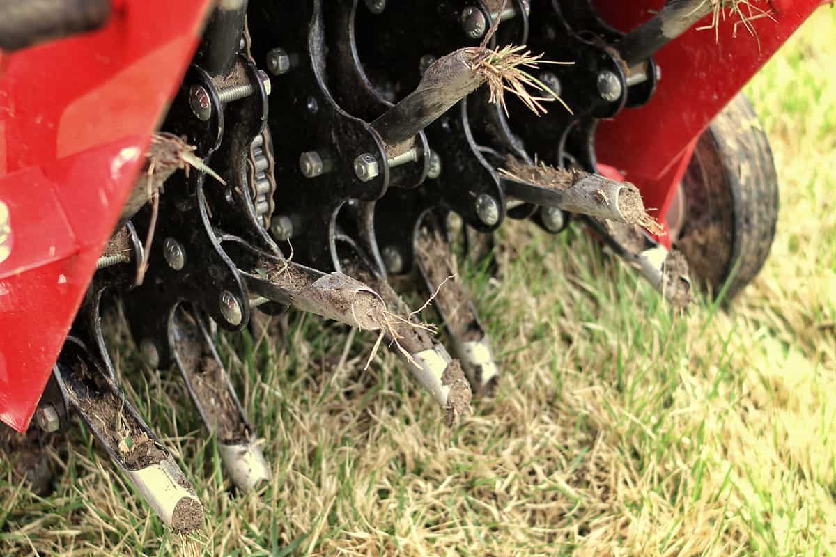 Close up of a mechanical lawn aerator
