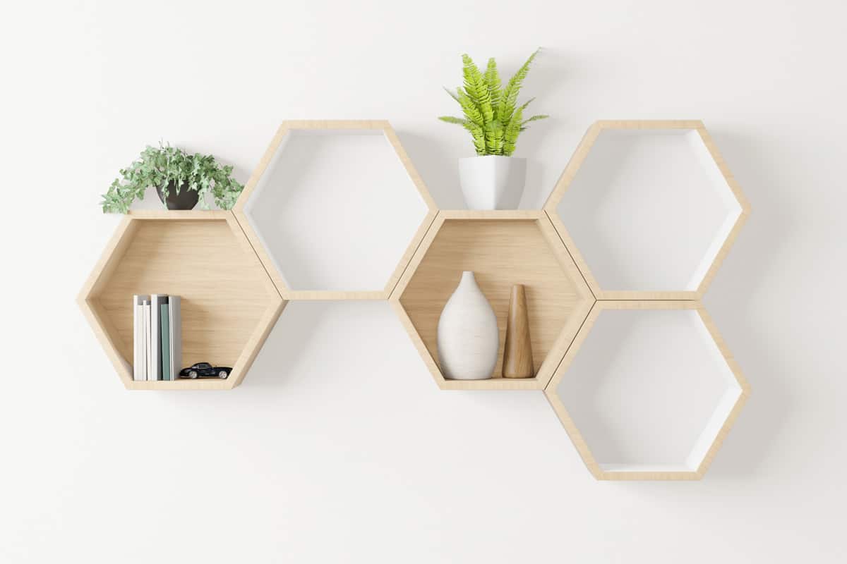 Hexagonal dividers with plants and books inside and on top for display
