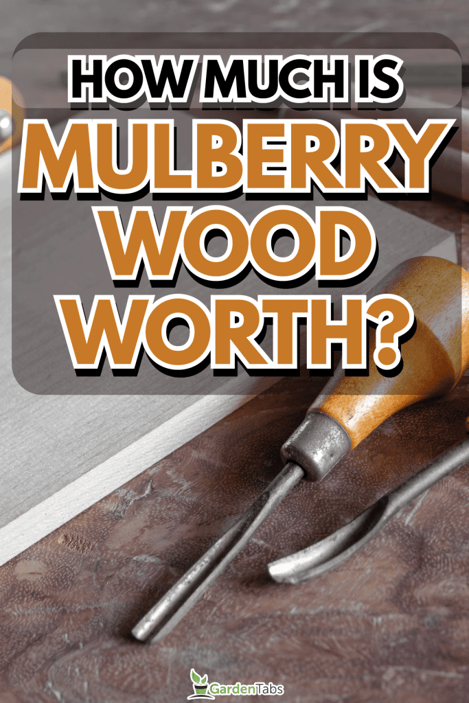 How-Much-Is-Mulberry-Wood-Worth5