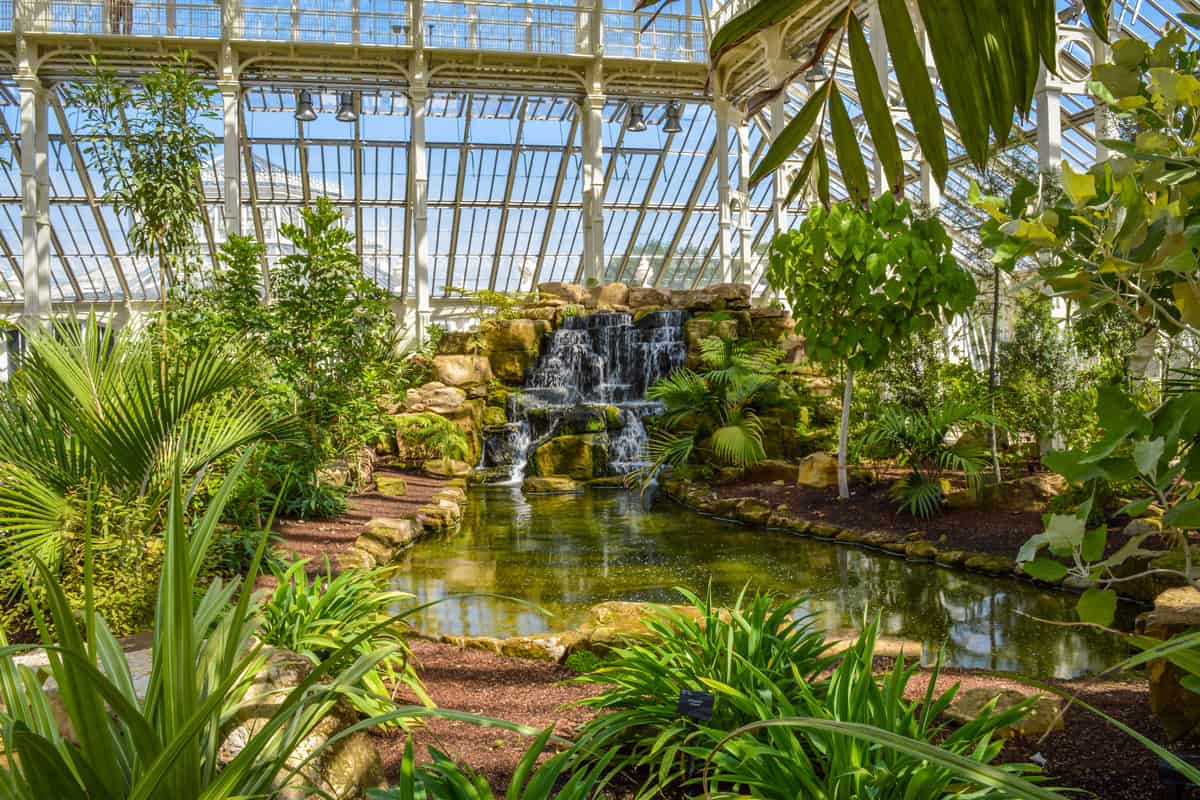Interior of a greenhouse with landscaping and an artificial pool