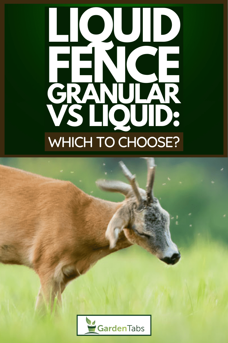 Liquid Fence Granular Vs Liquid: Which To Choose?
