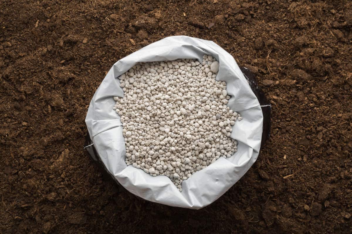 Opened plastic bag with gray complex fertiliser granules on dark soil background. Closeup. Product for root feeding of vegetables, flowers and plants.
