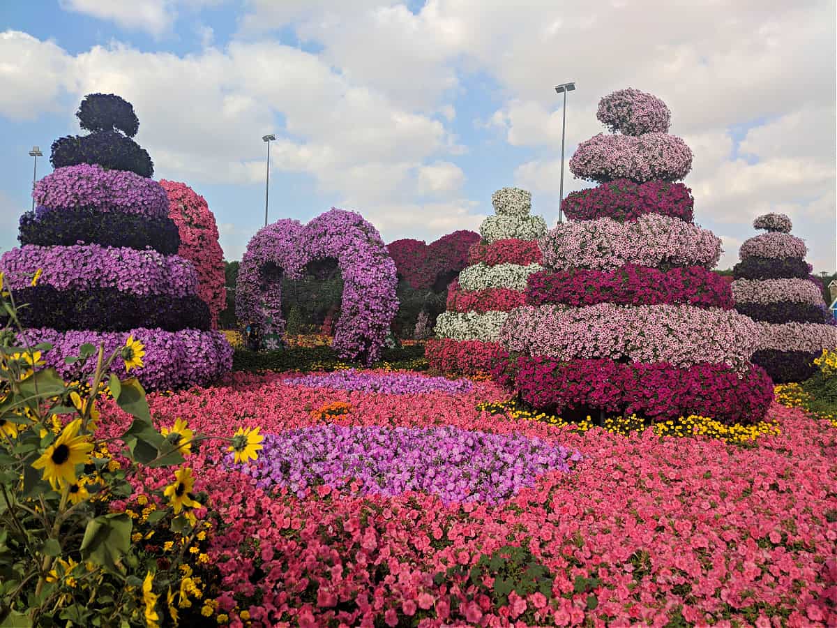 Flower structures in Dubai Miracle Garden