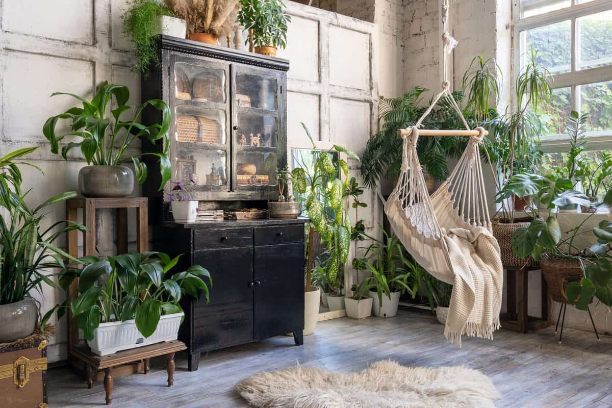 Cozy rope swing in living room with green houseplants in flower pot and black vintage chest of drawers.