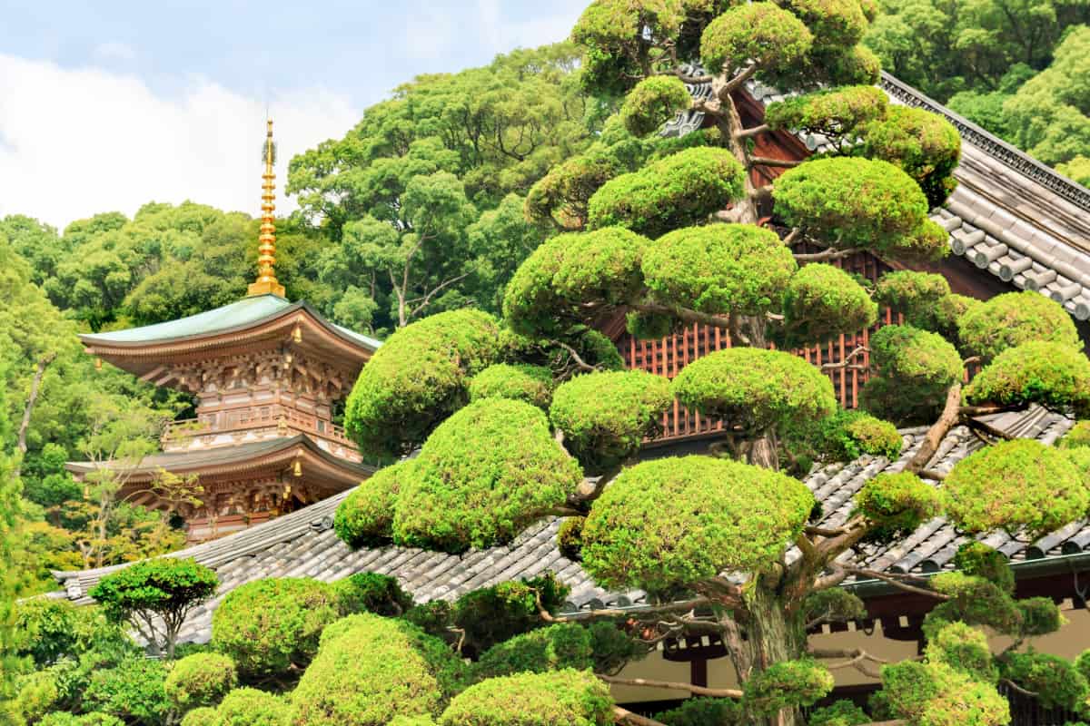 Suma Temple in Kobe, Japan
