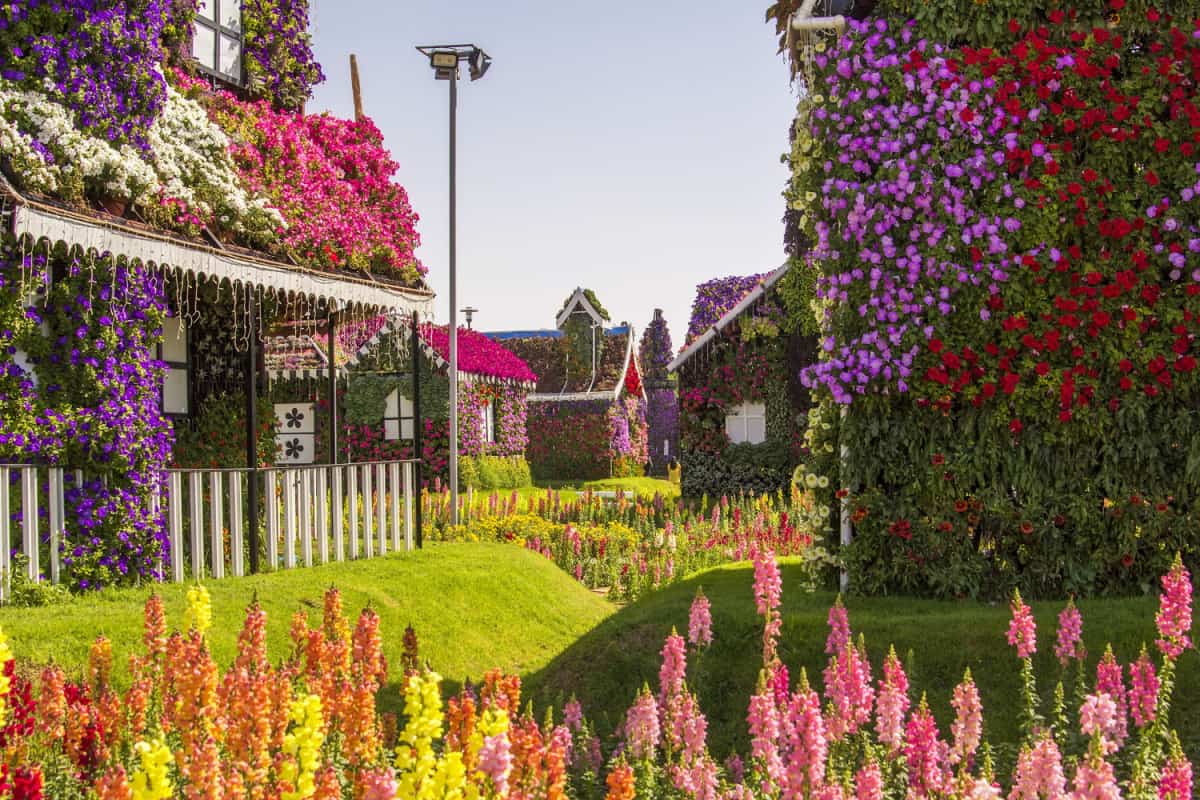Amazing colorful houses of flowers in the Miracle Garden park, Dubai, United Arab Emirates