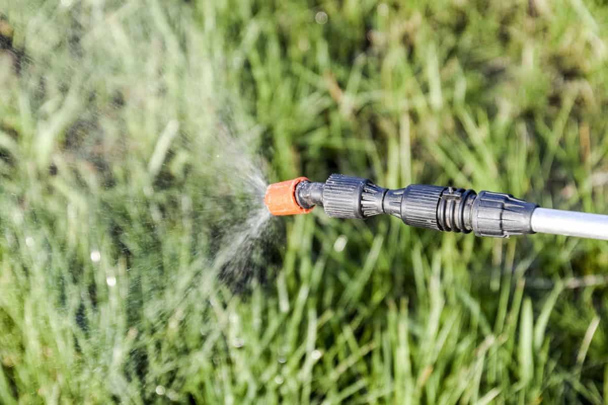 Spraying herbicide from the nozzle of the sprayer manual. Devices for processing plants in the garden.
