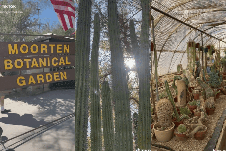 Collaged photo of Moorten Garden, Discovering a Desert Oasis Exploring the Wonders of Moorten Botanical Garden in Palm Springs
