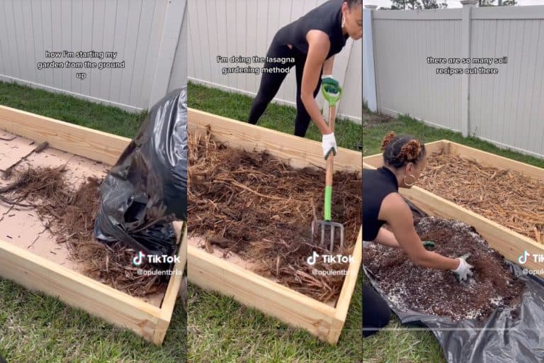 Screenshots of TikToker OpulentBria putting soil in her raised garden beds