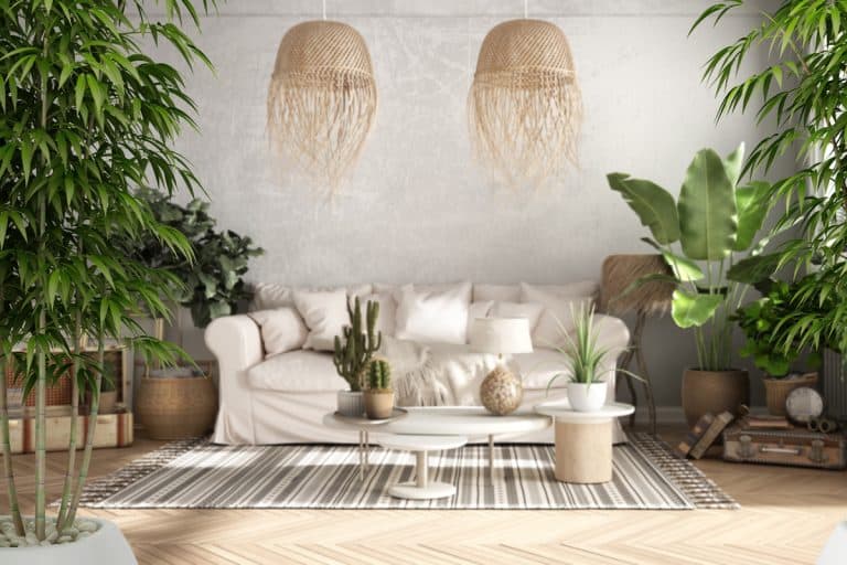 Zen interior with potted bamboo plant, natural interior design concept, old style living room in beige tone, Sofa, carpet, pillows, tables with decors and plants, architecture concept, Feng Shui Plants In Living Room: Where To Place Them For Optimal Energy Flow And Serenity