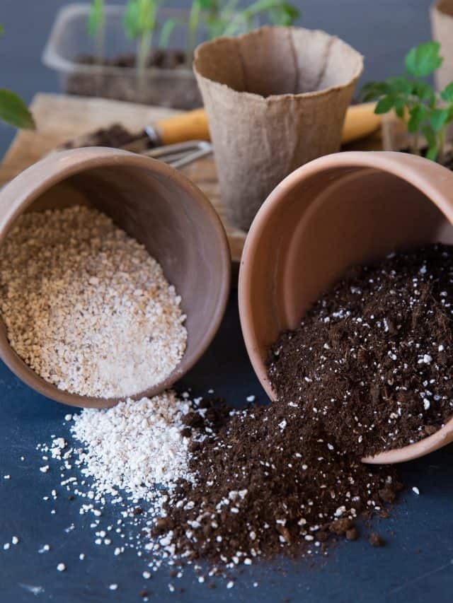 A,Mixture,Of,Ground,,Perlite,And,Vermiculite.,The,Concept,Growing
