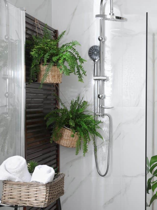 Bathroom interior with shower stall, counter and houseplants