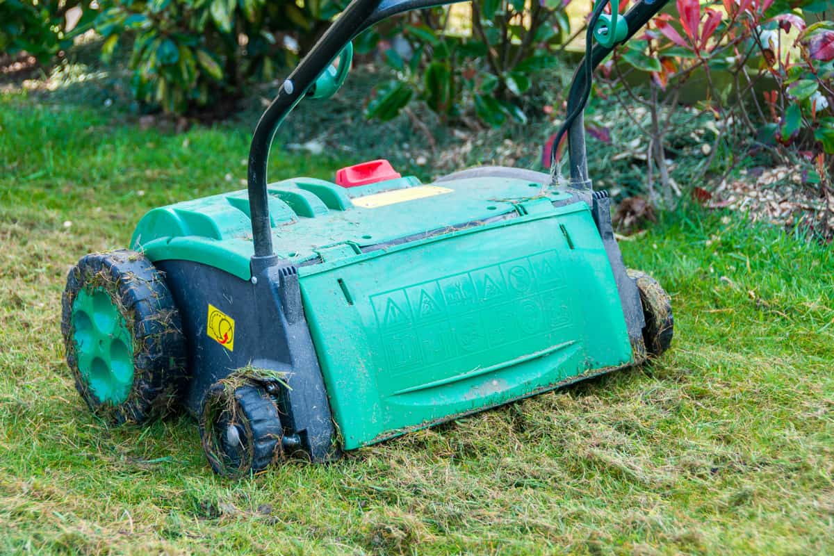 lawn aerator removing moss from garden