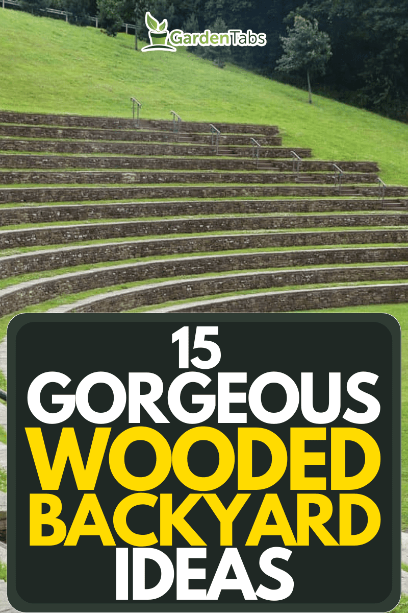 15 Gorgeous Wooded Backyard Ideas
