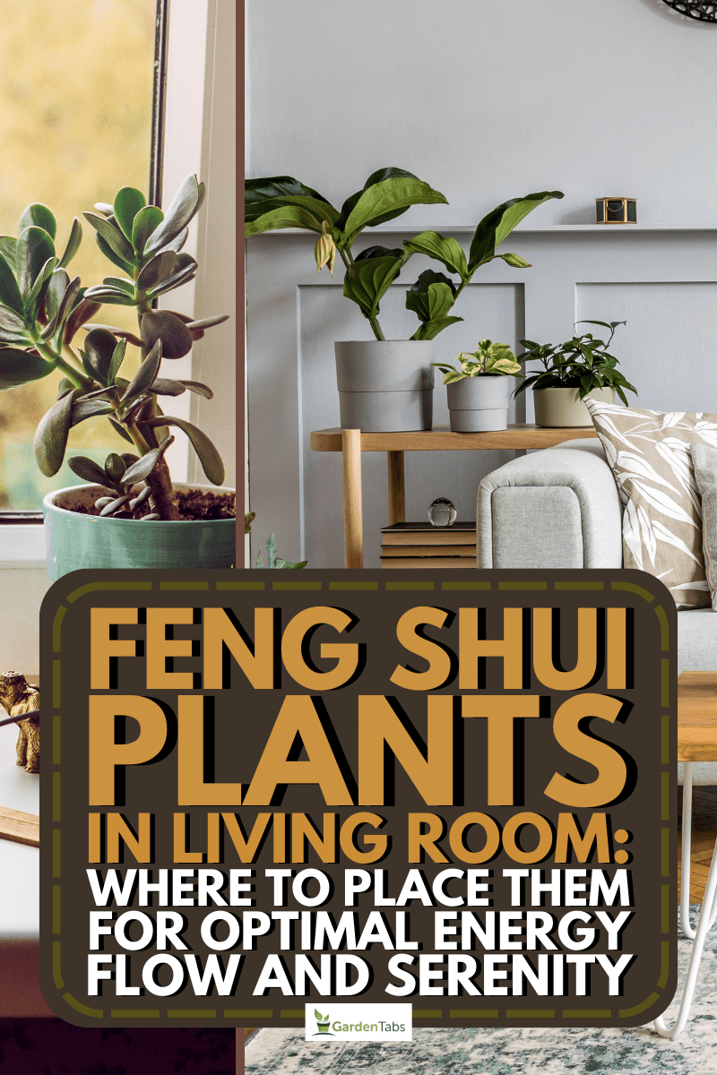 Feng Shui Plants In Living Room: Where To Place Them For Optimal Energy Flow And Serenity, Interior of the living room. 