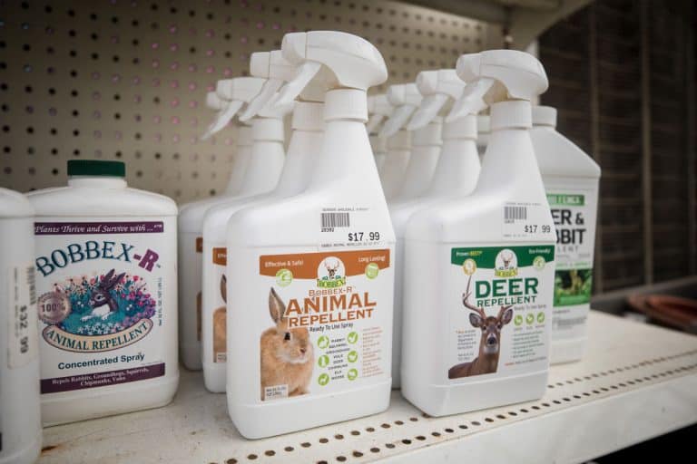 A shelf full of spray cans designed to repel animals and insects, How To Effectively Use Liquid Fence Deer & Rabbit Repellent