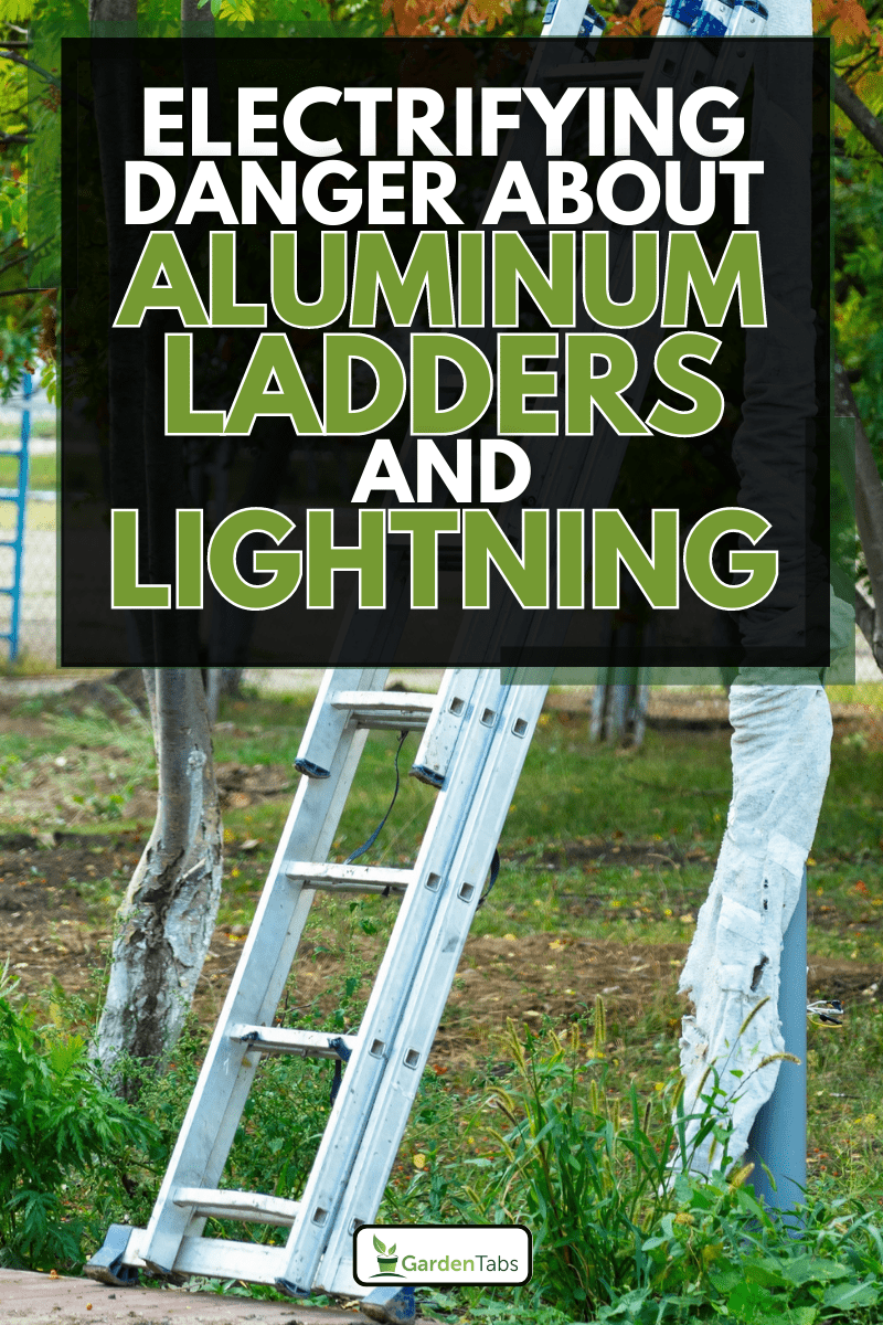 An aluminum ladder leaning against a lighting pole in the park, Electrifying Danger The Truth About Aluminum Ladders and Lightning