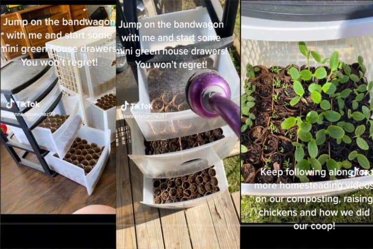 Three screenshots of a Tiktok video showing how to make mini greenhouses with plastic drawers.