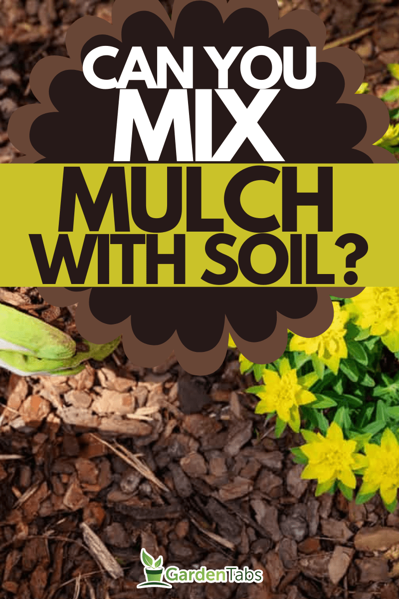 gardener mulching flower bed with pine tree bark mulch, Can You Mix Mulch With Soil?