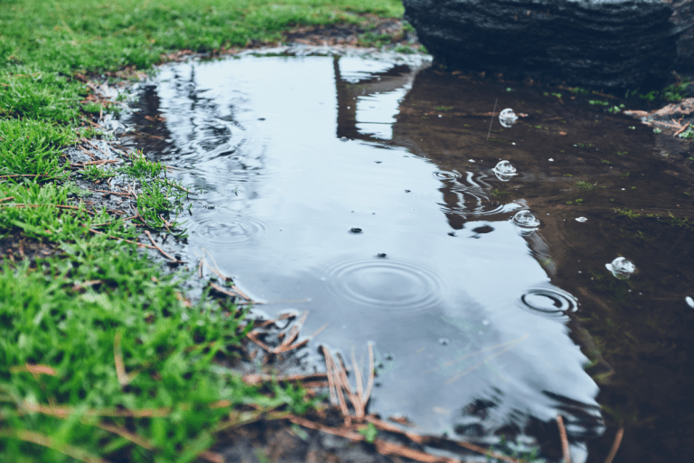 Flooded puddle of water with bubbles in front yard with green grass on rainy day, Pooling Water In Your Yard? Here's How To Fix It!