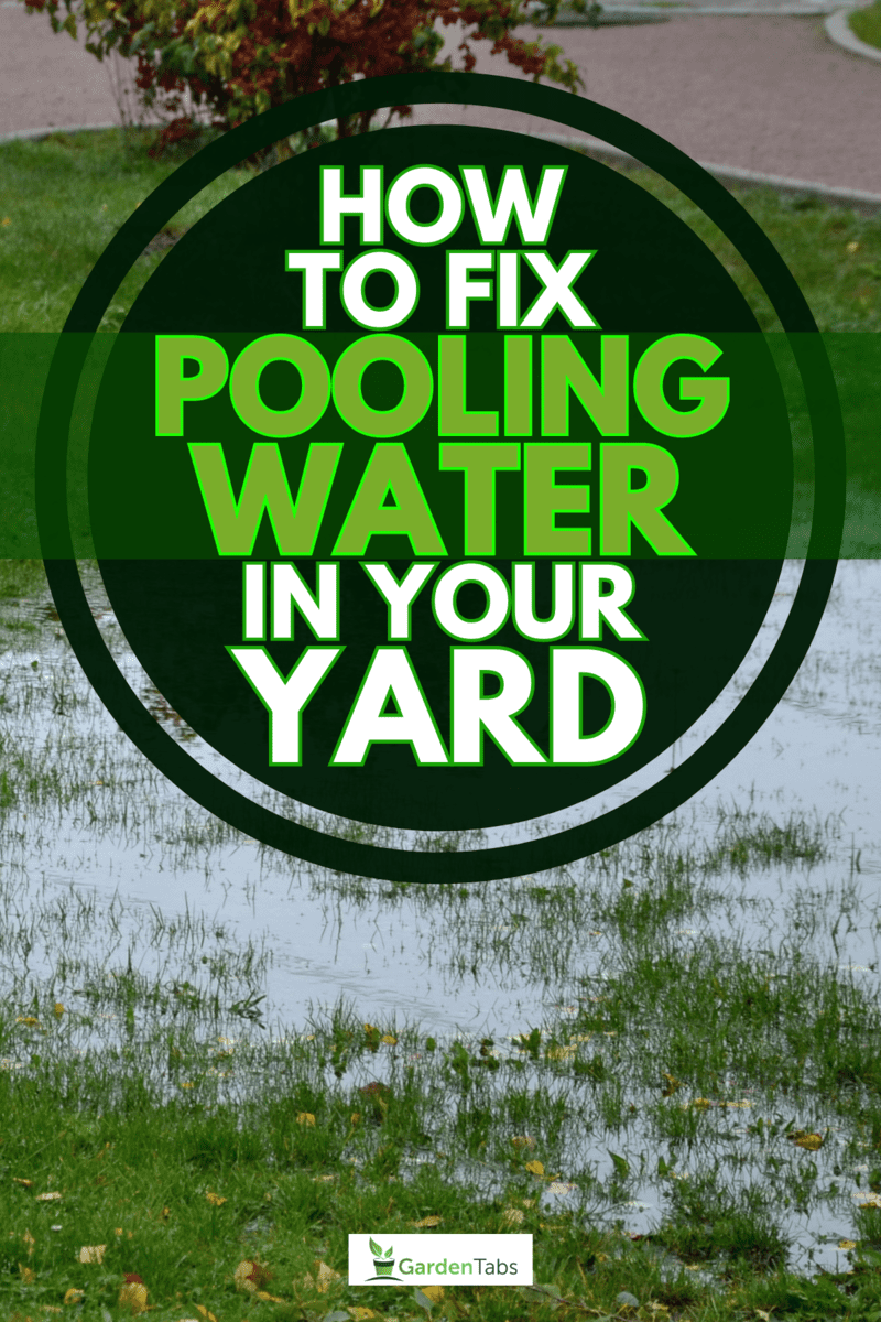 Flooding on lawn due to heavy rain, Pooling Water In Your Yard? Here's How To Fix It!