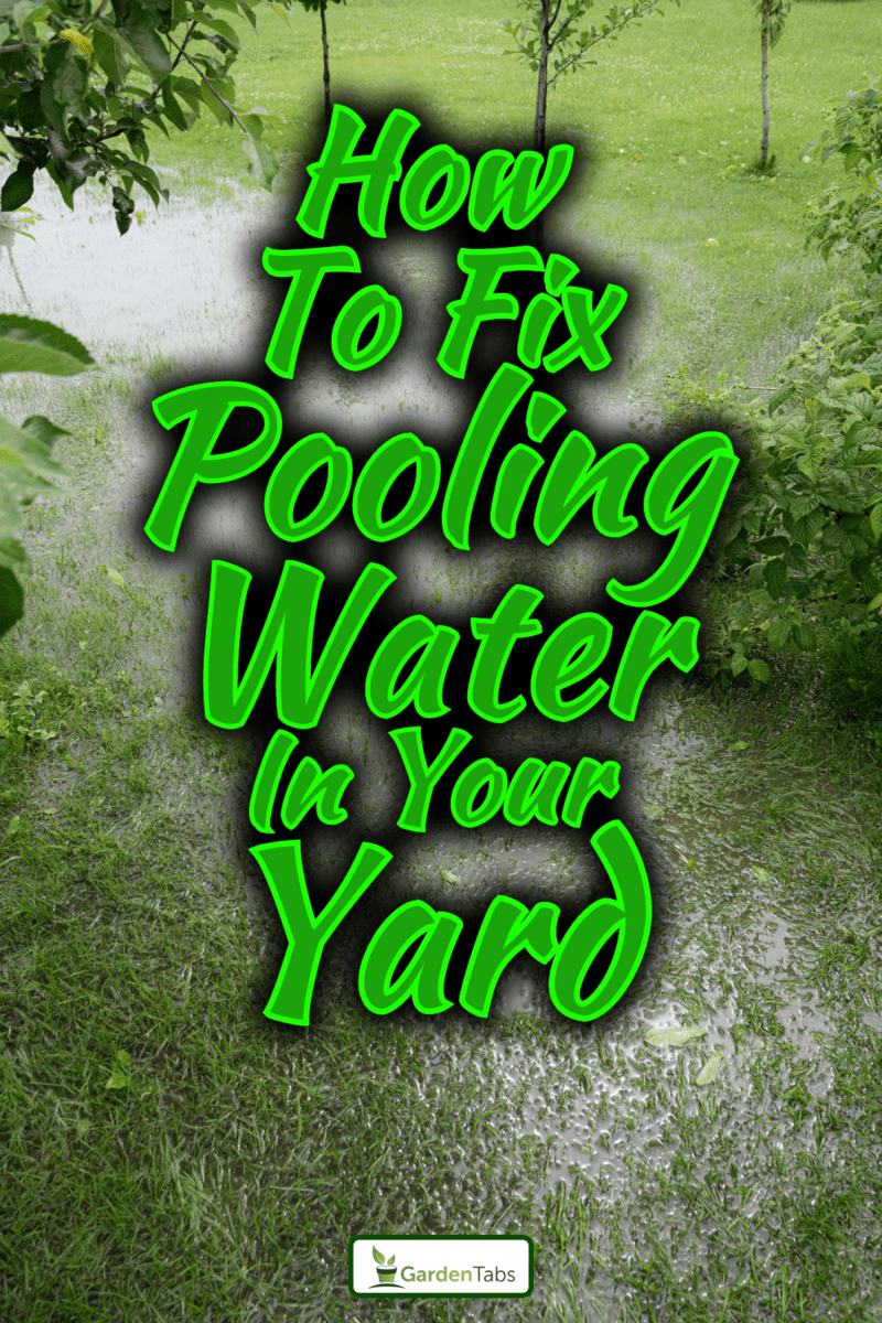 Garden and yard are flooded due to heavy rain, Pooling Water In Your Yard? Here's How To Fix It!