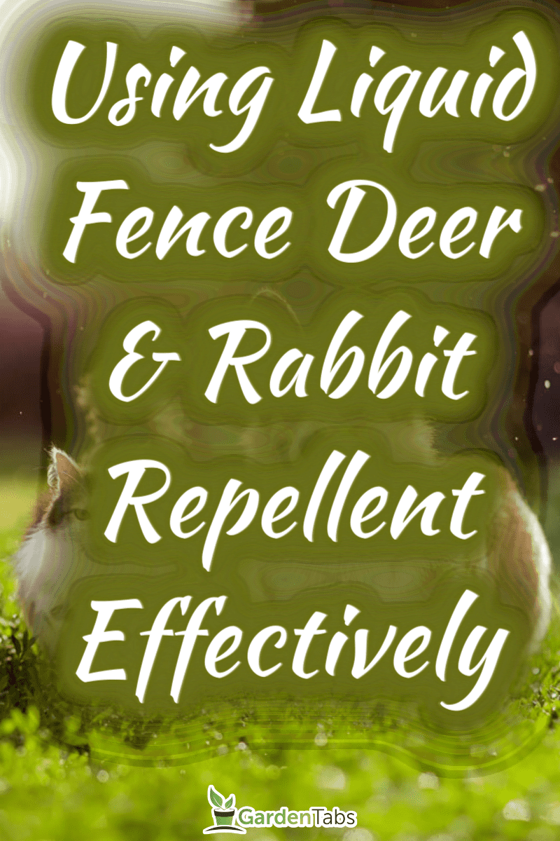How To Effectively Use Liquid Fence Deer & Rabbit Repellent