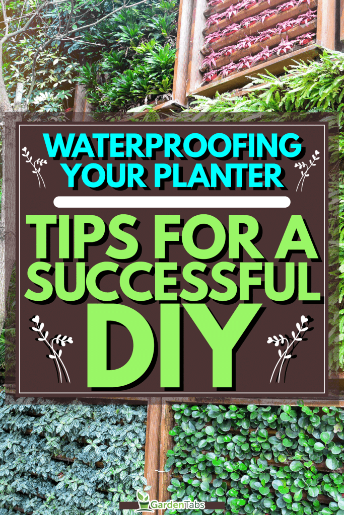 Golden pothos plant in a hanging basket, How To Waterproof A Planter: Tips And Tricks For A Successful DIY Project