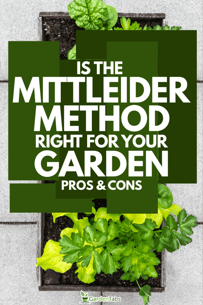 Is-the-Mittleider-Method-Right-for-Your-Garden-A-Look-at-the-Pros-and-Cons3