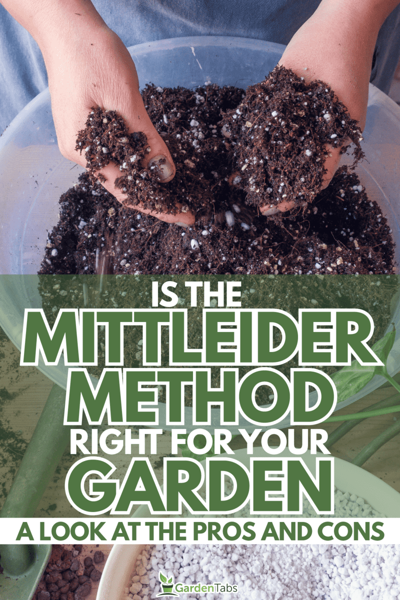 Is-the-Mittleider-Method-Right-for-Your-Garden-A-Look-at-the-Pros-and-Cons4