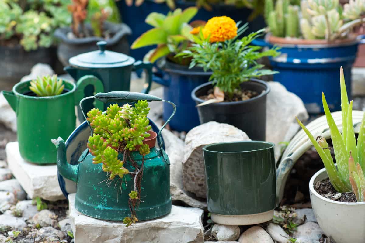 Second hand kettles saucepands and old teapots turn into garden flower pots