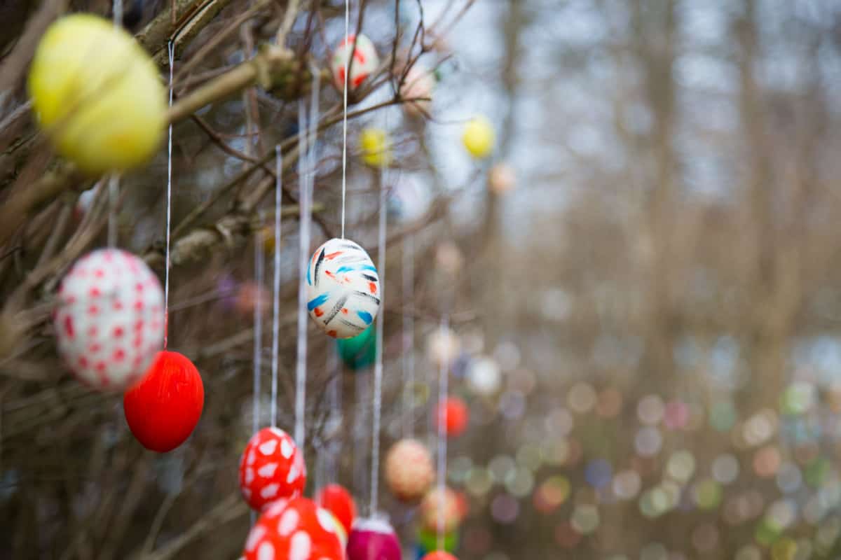 Typically German Easter tradition - tree branches decorated with hand painted eggs.