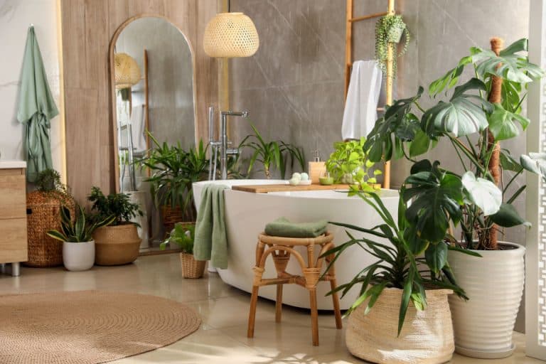Modern white tub and beautiful green houseplants in bathroom